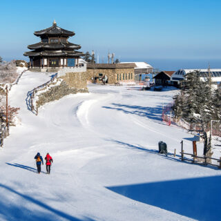Kashmir Honeymoon Tour Packages