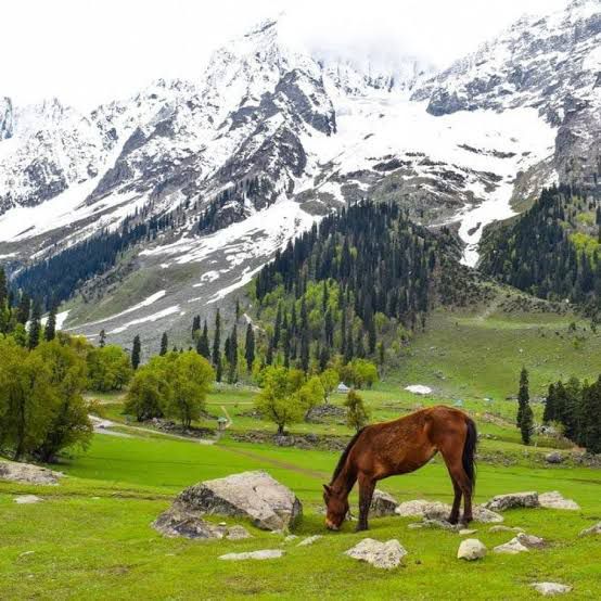 Pahalgam Image 4